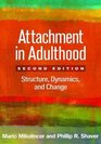 Attachment in Adulthood Second Edition Structure Dynamics and Change