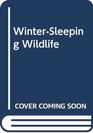 WinterSleeping Wildlife