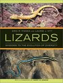 Lizards Windows to the Evolution of Diversity