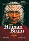 National Geographic Investigates The Human Brain Inside Your Body's Control Room
