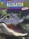 Alligator Saved from Extinction