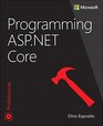 Programming ASPNET Core