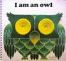 I Am an Owl