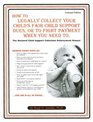 How to Legally Collect Your Child's Fair Child Support Dues or to Fight Paying When You Need to The National Child Support Collection Enforcement Manual