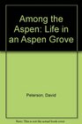 Among the Aspen Life in an Aspen Grove