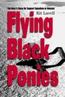 Flying Black Ponies The Navy's Close Air Support Squadron in Vietnam