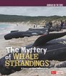 Mystery of Whale Strandings The