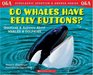 Scholastic Q  A : Do Whales Have Belly Buttons? (Scholastic Question  Answer)