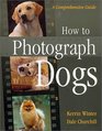 How to Photograph Dogs A Comprehensive Guide