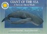 Giant of the Sea The Story of a Spermaceti Whale