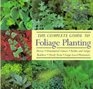 The Complete Guide to Foliage Planting
