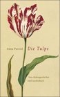 Die Tulpe Eine Kulturgeschichte