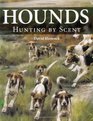 Hounds Hunting by Scent