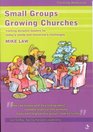 Small Groups Growing Churches