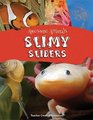 Awesome Animals Slimy Sliders