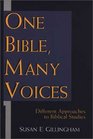 One Bible Many Voices Different Approaches to Biblical Studies