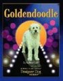 Goldendoodle (Designer Dog)