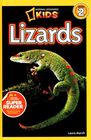 Lizards