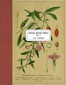Vintage Botany Prints Vol 2
