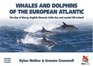 Whales and Dolphins of the European Atlantic The Bay of Biscay English Channel Celtic Sea and Coastal SW Ireland