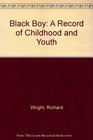 Black Boy A Record of Childhood and Youth