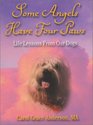 Some Angels Have Four Paws Life Lessons from Our Dogs