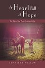 A Heart Full of Hope The Tale of the Twin Arabian Colts