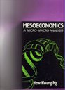 Mesoeconomics A Micromacro Analysis
