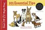 101 Essential Tips You Need to Raise a Happy Healthy Safe Dog