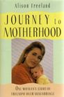 Journey to Motherhood One Woman's Story of Triumph over Miscarriage