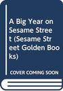 A Big Year on Sesame Street