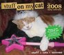 2008 Daily Calendar Stuff on My Cat