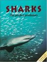Sharks The Perfect Predators