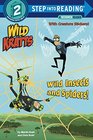 Wild Insects and Spiders