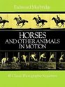 Horses and Other Animals in Motion