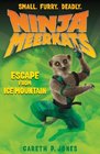 Ninja Meerkats  Escape from Ice Mountain
