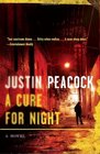 A Cure for Night A Novel