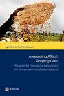 Awakening Africa's Sleeping Giant Prospects for Commercial Agriculture in the Guinea Savannah Zone and Beyond