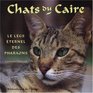 Chats du Caire