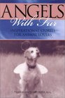 Angels With Fur: Inspirational Stories for Animal Lovers