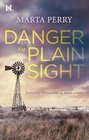 Danger in Plain Sight (Large Print)