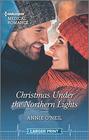 Christmas Under the Northern Lights (Harlequin Medical, No 1143) (Larger Print)