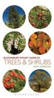 Pocket Guide to Trees and Shrubs (Pocket Guides)
