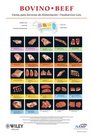 North American Meat Processors Spanish Beef Foodservice Poster / Pster de Servicios de Alimentacin de Carne de Res en Espaol para la Asociacin Norteamericana de Procesadores de Carne