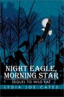 Night Eagle Morning Star