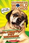 Guinness World Records Ultimate Pet Records