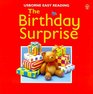 The Birthday Surprise (Usborne Easy Reading)