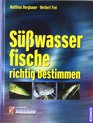 Swasserfische richtig bestimmen