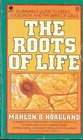 The roots of life