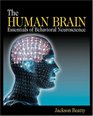 The Human Brain Essentials of Behavioral Neuroscience